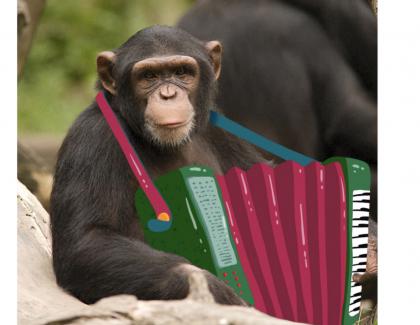 Guță, în pericol să-și piardă pâinea: Un cimpanzeu de la zoo a compus o manea!