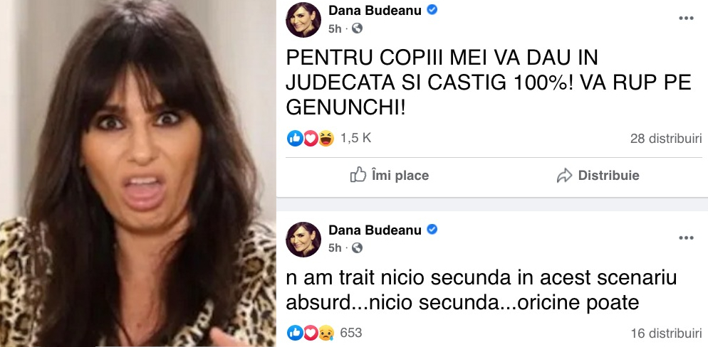 Dana Budeanu dă guvernul în judecată fiindcă se închid şcolile! Când prietena ei Firea le inchidea la primul fulg era ok, înțelept, chiar genial