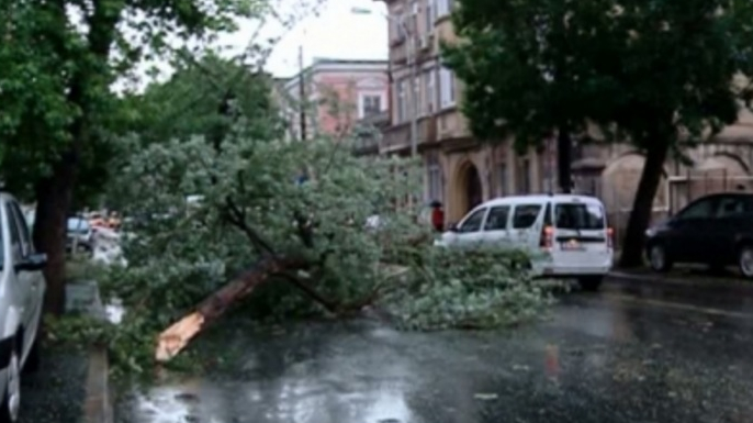 UDMR a revendicat cei 33 de copaci doborâți de furtuna din București!