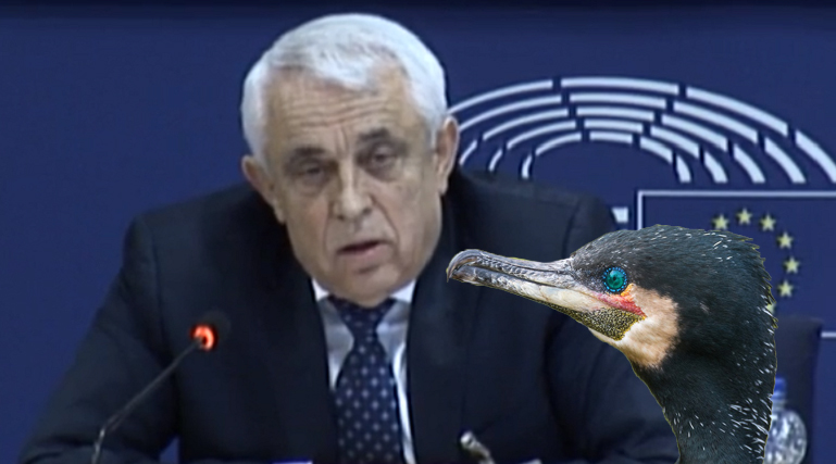 Petre Daea: "În România, cormoranii fac baie în piscine și pinguinii dansează în frigidere!"
