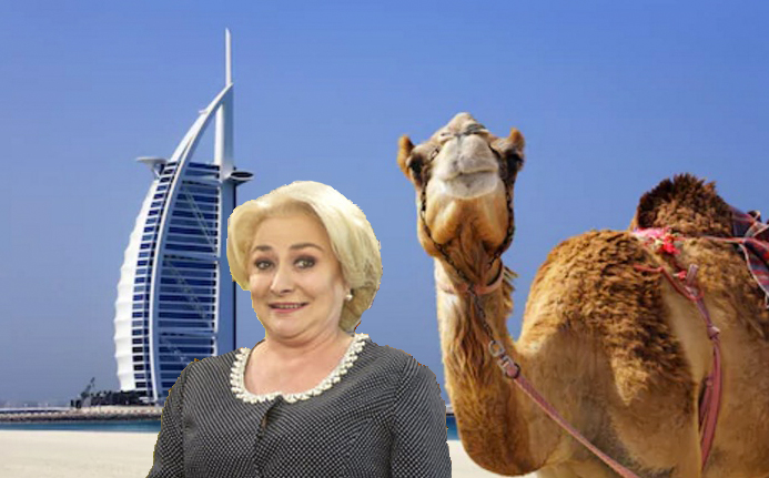 Viorica, scoasă la vânzare la Dubai după ce a fost confundată cu o cămilă!