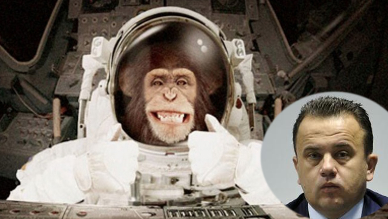 NASA în încurcătură: să trimită o maimuță în spațiu sau să o facă ministru al Educației în România?