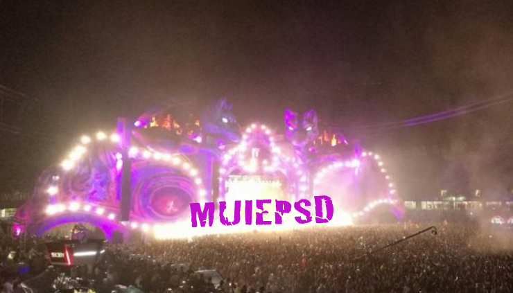 Noul hit house la Untold: "PSD – M…PSD", repetat o jumătate de oră de tot stadionul!