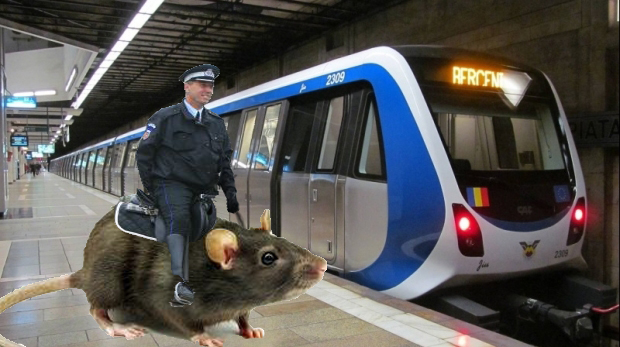 La metrou a apărut poliția călare pe șobolani, care va împrăștia mulțimea când e aglomerat!