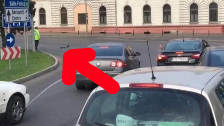 La Oradea, un polițist a oprit circuația ca să treacă un cârd de rațe. La București, poliția amenda rațele, după care le mânca