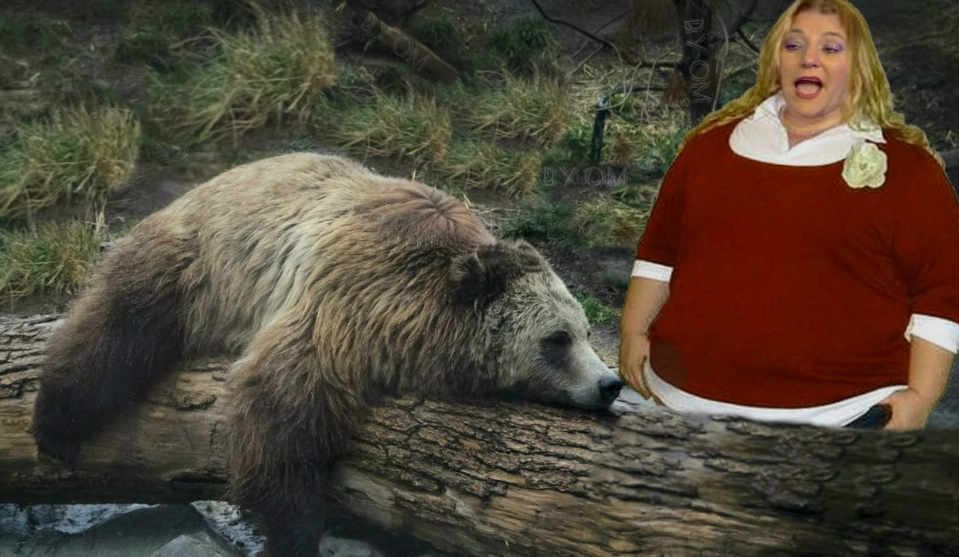 Un urs s-a întâlnit cu Diana Șoșoacă și a făcut pe mortul de teamă să nu-l mănânce!