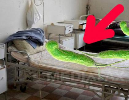 Condiții inumane: bacteriile dintr-un spital din România stau câte două în pat!