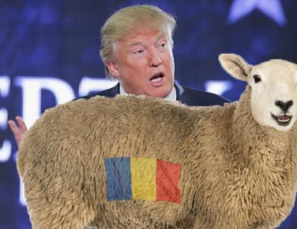 Donald Trump cere României oi ca să atace Coreea de Nord!