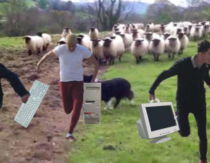 Hackerii ruși care au atacat cibernetic toată planeta, anihilați de un comando de oi din România!