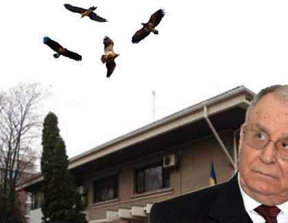 Să fie un semn? De câteva zile, vulturii se rotesc deasupra locuinței lui Ion Iliescu!