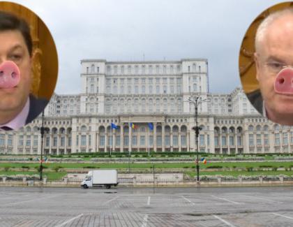 Parlamentul României, declarat oficial cea mai mare cocină din lume!
