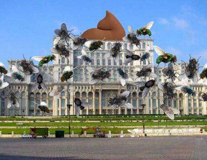 Alertă! Parlamentul României a fost acoperit integral de muște!