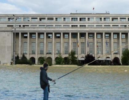  Concurs de pescuit în Piața Victoriei! Viermi și râme găsiți în clădirea guvernului!