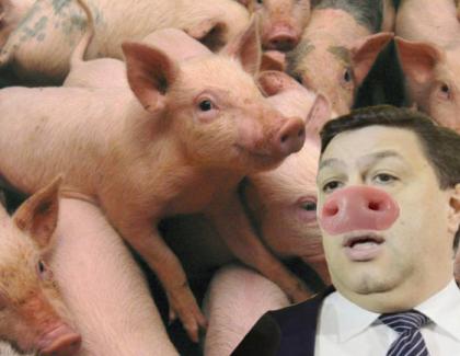 Zeci de mii de porci s-au înscris în PSD ca să scape de pesta porcină, ca Șerban Nicolae!
