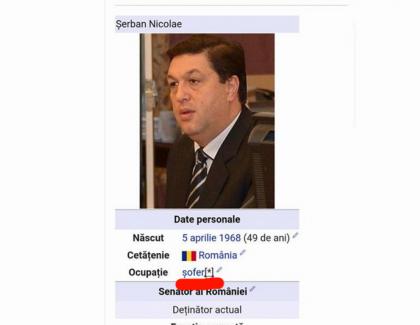 Wikipedia confirmă: Șerban Nicolae e șofer! Șerban Nicolae: "Am poze cu Wikipedia când face anal!"