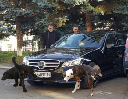 Mitropolitul Ardealului a blestemat doi câini care s-au pișat pe Merțanul lui de 70.000 de euro