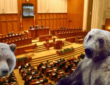 Parlamentul României, invadat de urși din cauza gunoaielor care sunt înăuntru!