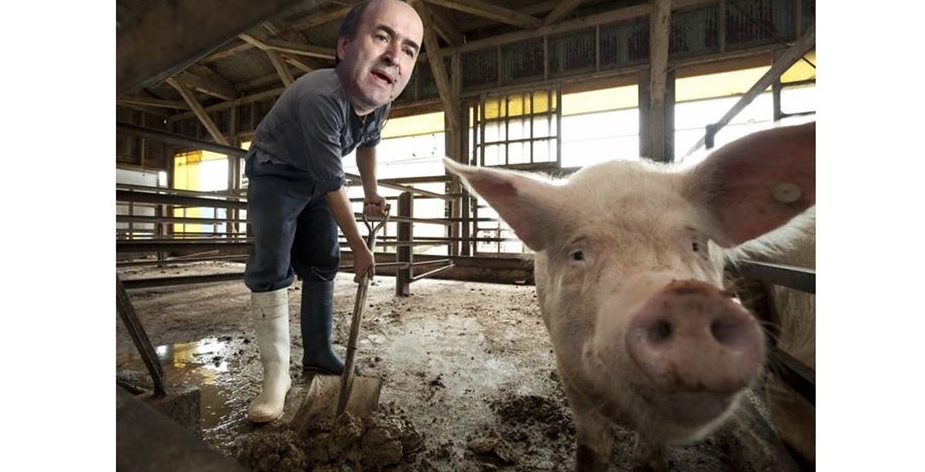 Dacă nu va reuși să o demită pe Codruța, Tudorel va fi trimis la muncă la ferma de porci a lui Dragnea!
