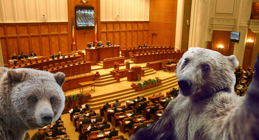 Urșii au pătruns în Parlament atrași de gunoiele care votau măcelărirea justiției!